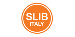 Slib Italy – Sliding Bearings and Bushings for valves and other applications for the Hydraulic, Power generation and Primary metals industry
